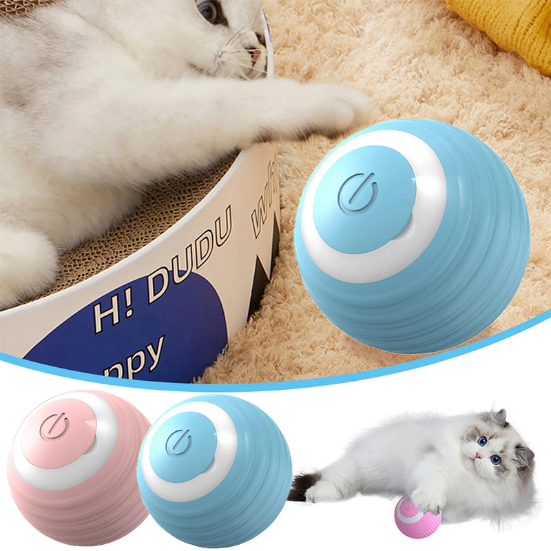 Pelota para Mascotas Recargable
